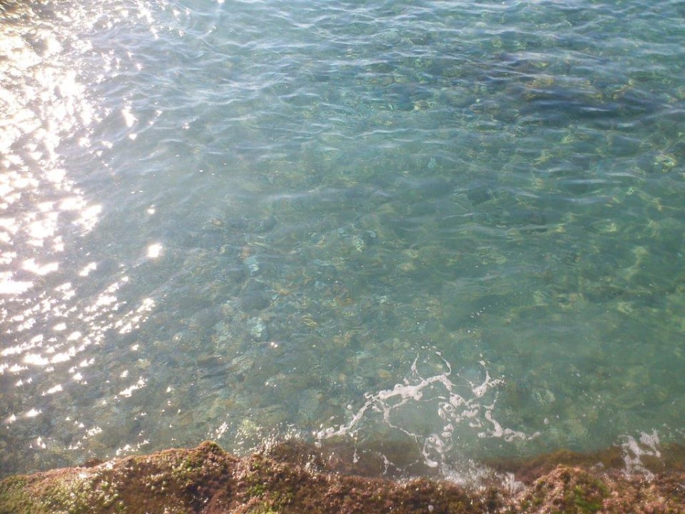 Sauberes Wasser Green Paradise Beach Hotel