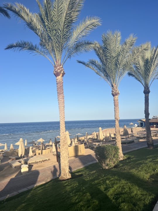 Strand Serenity Alpha Beach