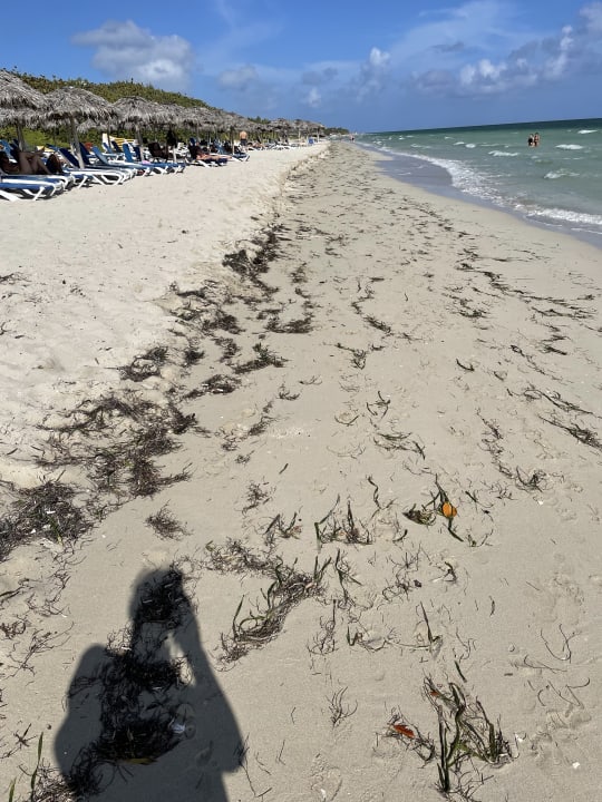 Strand Iberostar Origin Playa Alameda