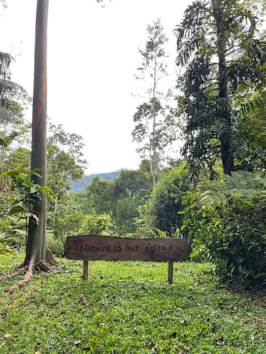 Gartenanlage Lodge Selva Bananito