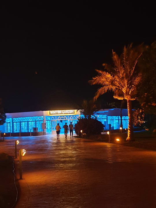 Sonstiges Desert Rose