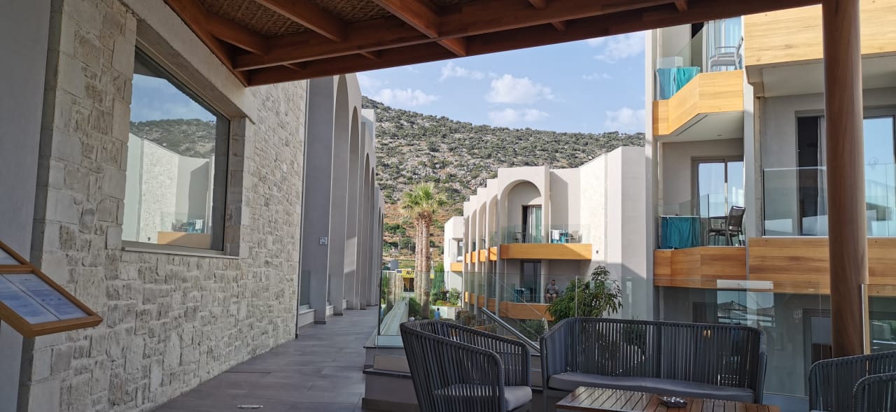 Gastro Cactus Mare - Adults only