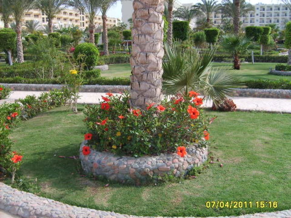 Flowers Le Jardin Aqua Park Resort