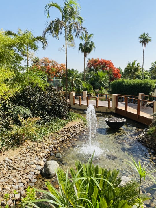 Gartenanlage Grand Hyatt Dubai