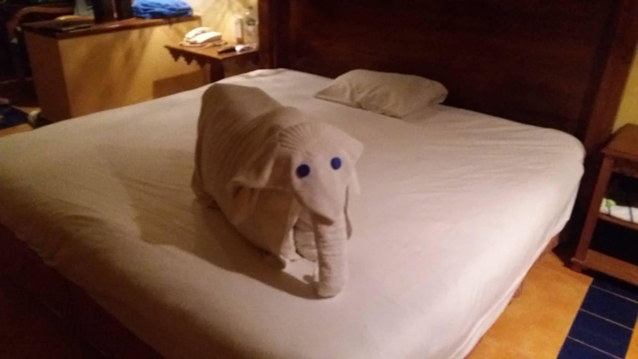 Von unsren lieben Zimmer ob gestaltet Grand Makadi