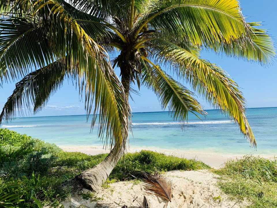 Strand Dreams Tulum Resort & Spa