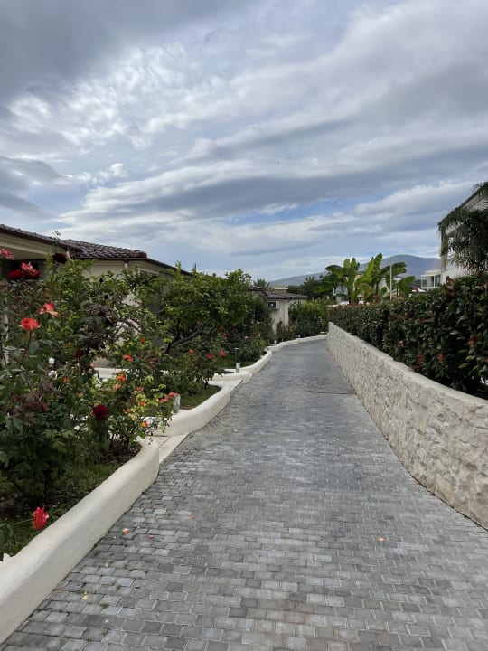 Gartenanlage Alexandra Beach Thassos Spa Resort