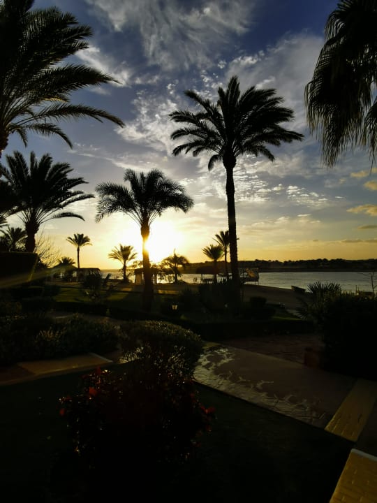 Gartenanlage Steigenberger Coraya Beach - Adults only