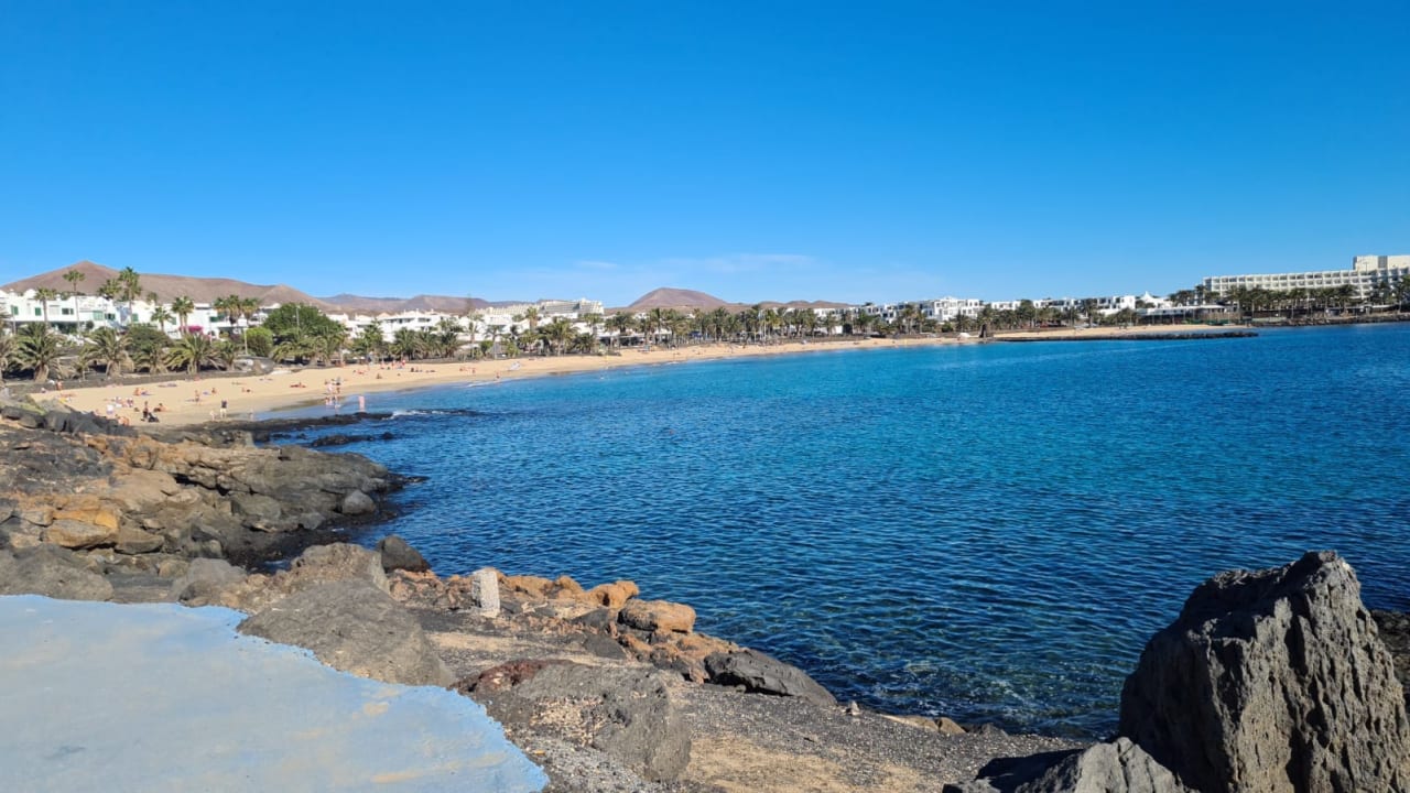 Strand allsun App.-Hotel Albatros