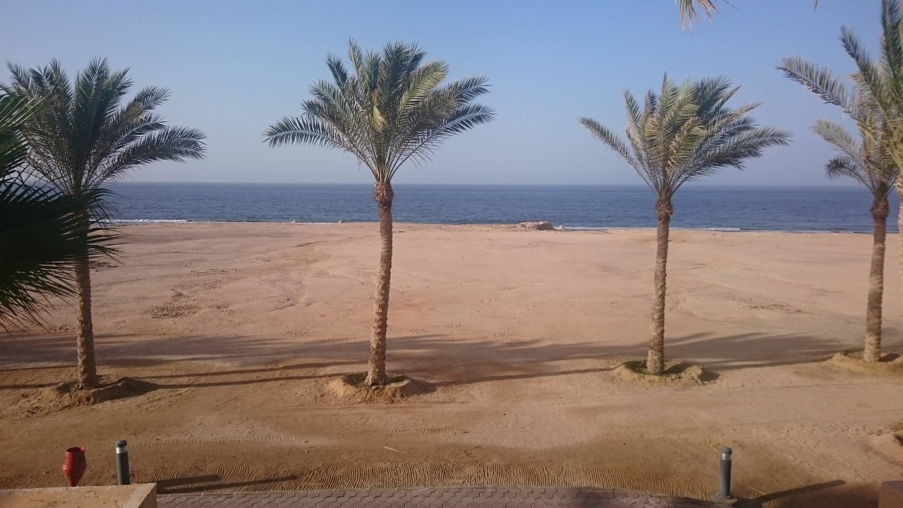 Ausblick Steigenberger Coraya Beach - Adults only