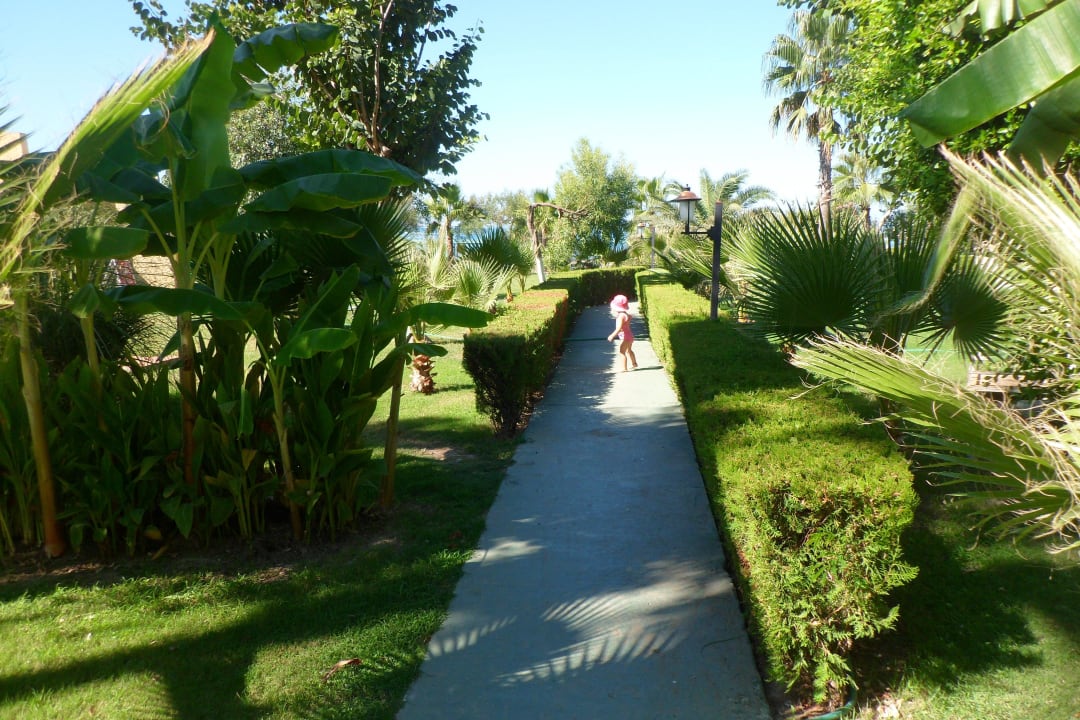Garten Iz Flower Side Beach Hotel