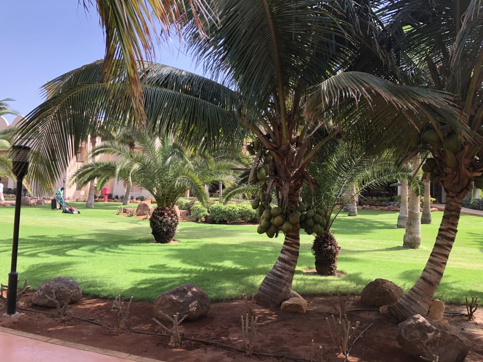 Gartenanlage Hotel Riu Touareg