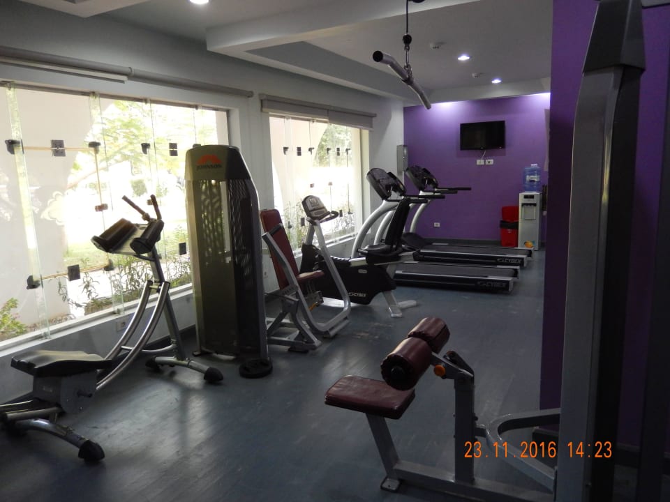 Laufband war Defekt  Desert Rose