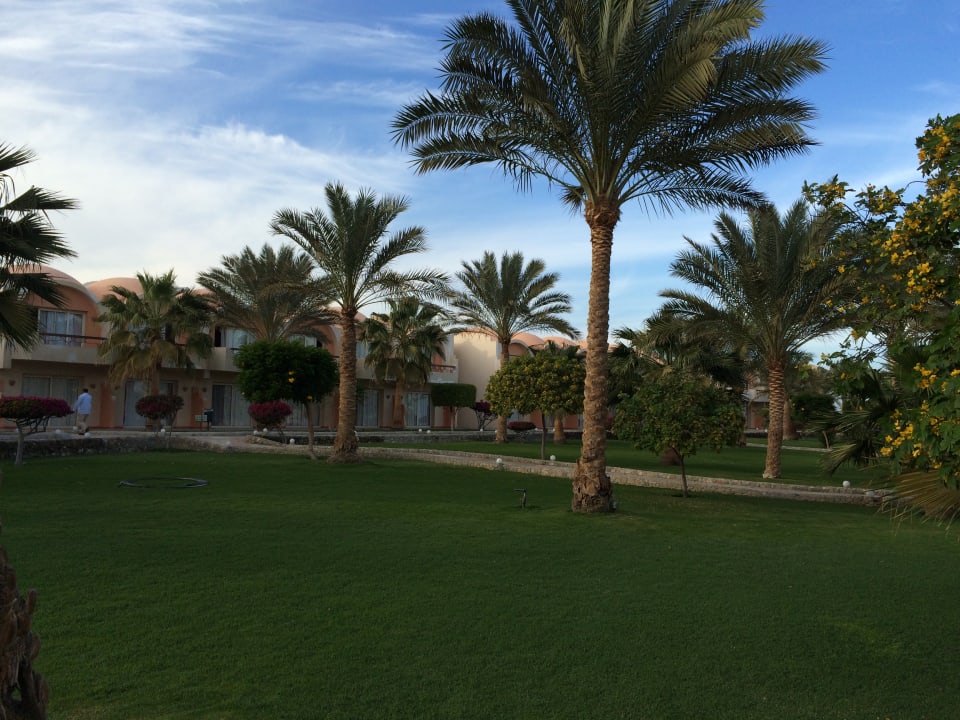 Gartenanlage Three Corners Sea Beach Resort