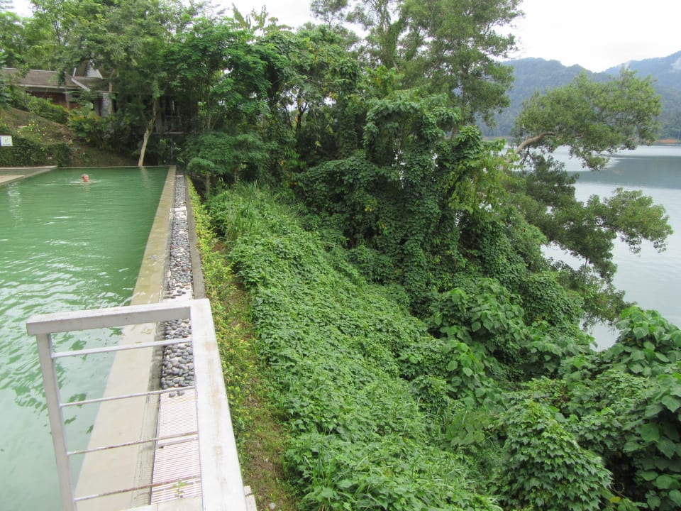 Pool Hotel Belum Rainforest Resort