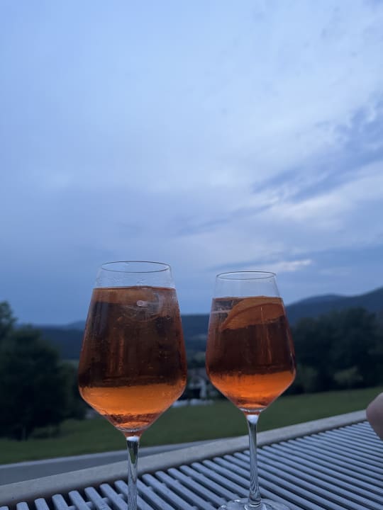 Ausblick Thula Wellnesshotel Bayerischer Wald