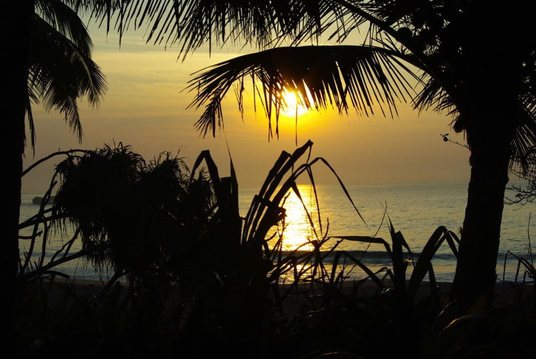 Wschód słońca widziany z tarasu Palm Paradise Cabanas