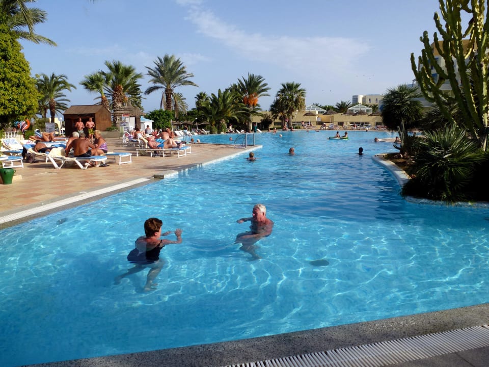 Pool Sentido Bellevue Park