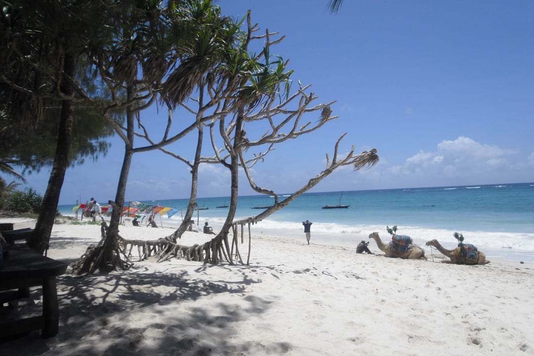 Nur 5 Minuten Fußweg Hotel Diani Palm Resort