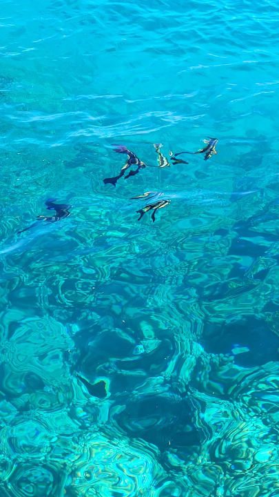 Sport & Freizeit Grand Makadi