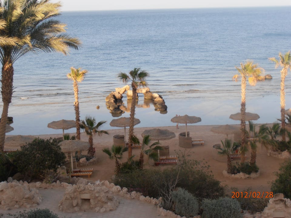 Jeder findet sein Plätzchen Pickalbatros Citadel Resort