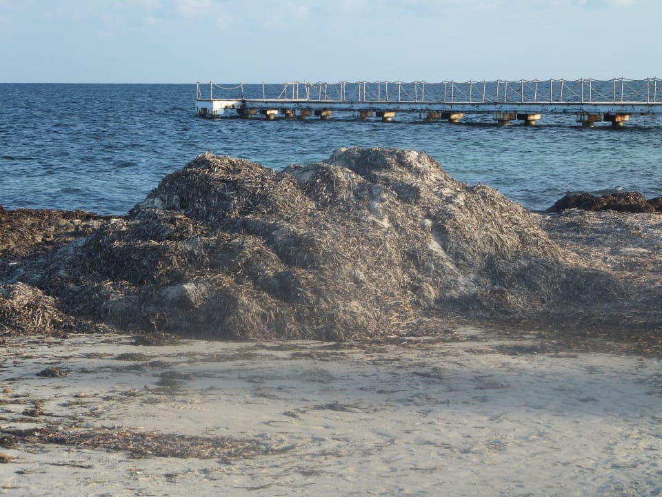 Bergsteigen Hotel El Mouradi Djerba Menzel