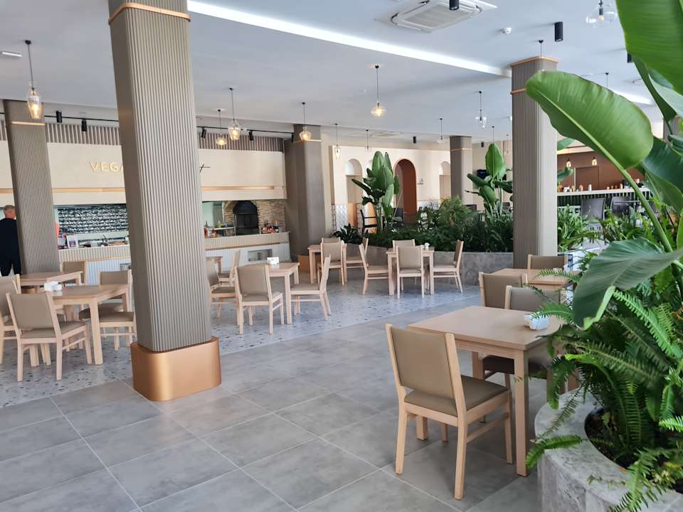 Gastro Seashell Vega