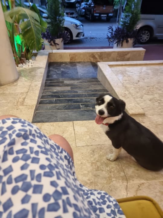 Sonstiges Nerton Hotel - Erwachsenenhotel ab 16 Jahren