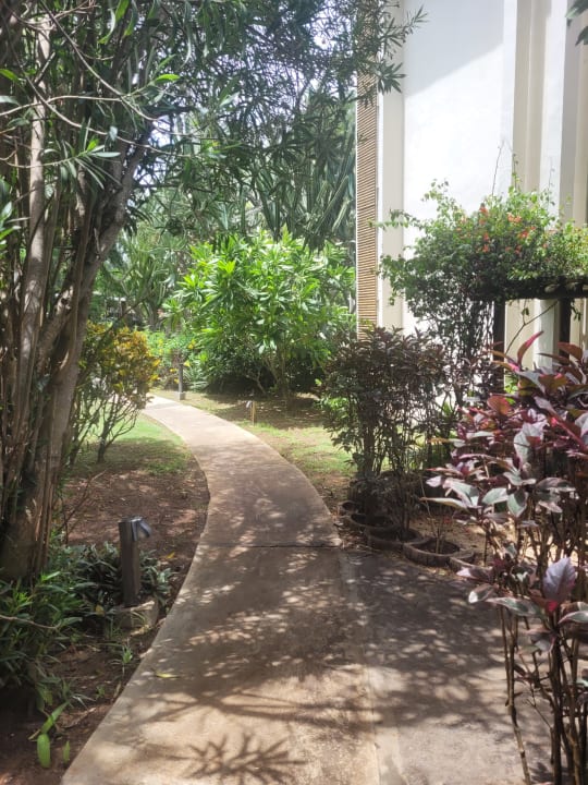 Gartenanlage Lagoon Attitude - Adults only