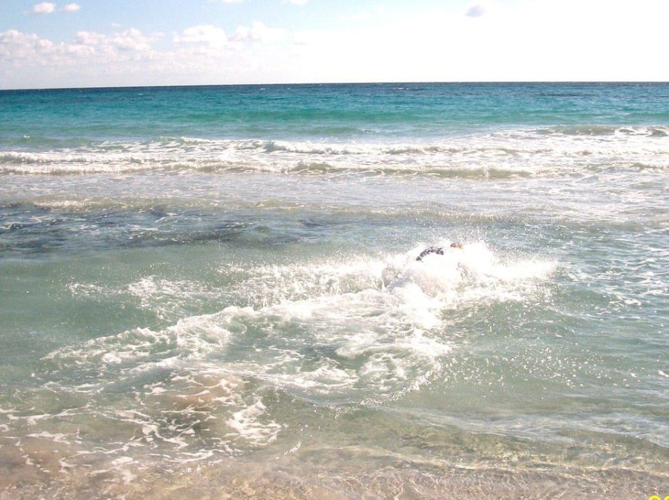 Feinsandig und sehr großer Strand allsun App.-Hotel Orient Beach