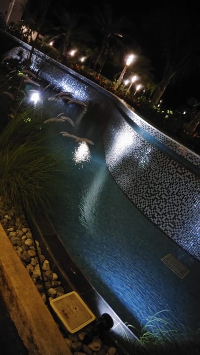 Eingangsbereich  Hotel Riu Dunamar