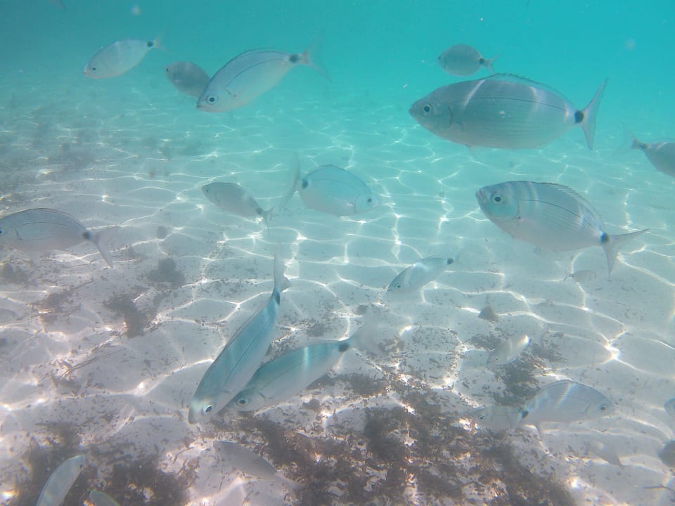 Strand Hotel Club Cala Romani