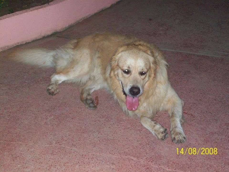 Security... Hotel Mari