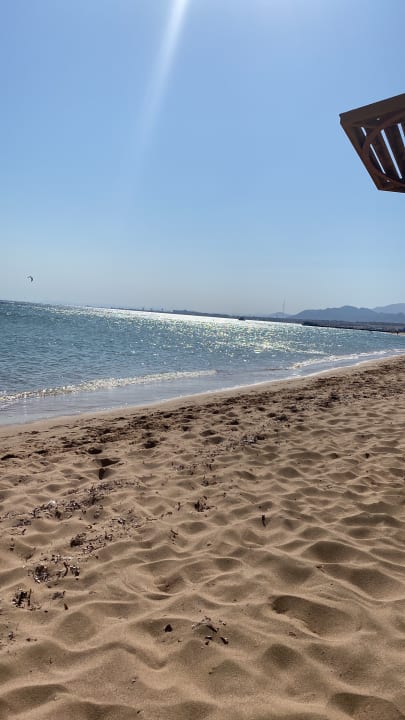 Strand Shams Prestige Abu Soma-Adults Only