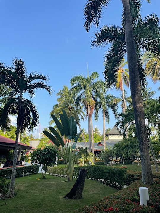 Gartenanlage Vista Sol Punta Cana