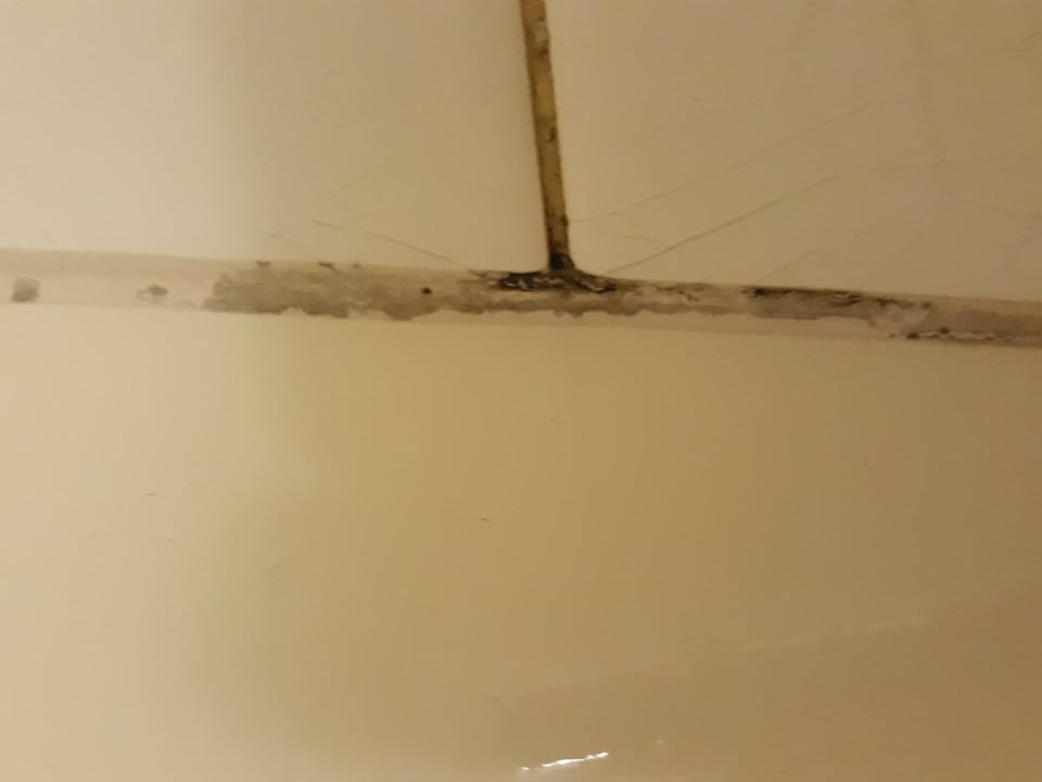 Schimmen in den Fugen Adelaide Paringa Motel