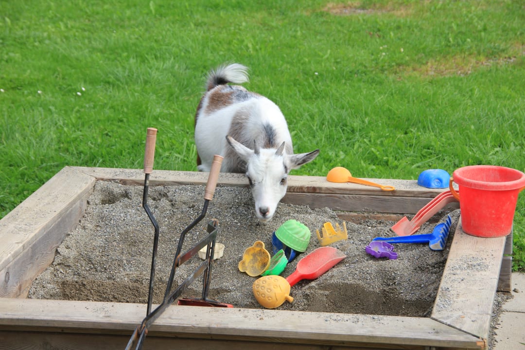 Gartenanlage Ferienhof Uebelhör