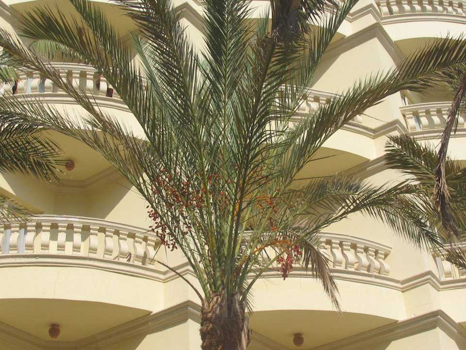 Балконы в отеле Riviera Aqua Park Resort