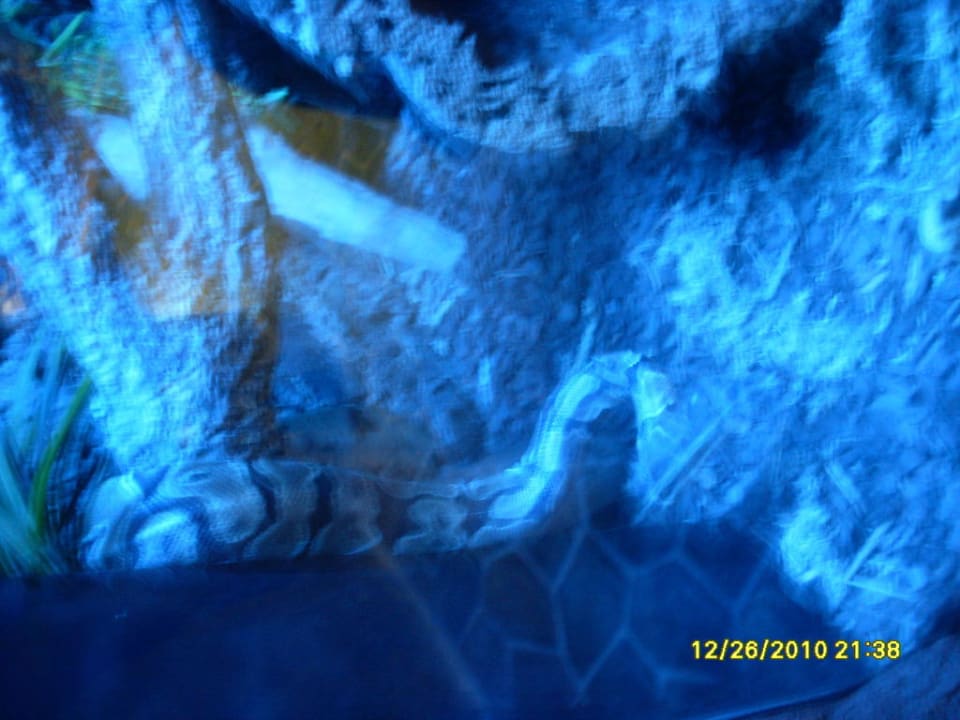 Dschungelland Ferienwohnungen Ferienpark Weissenhäuser Strand