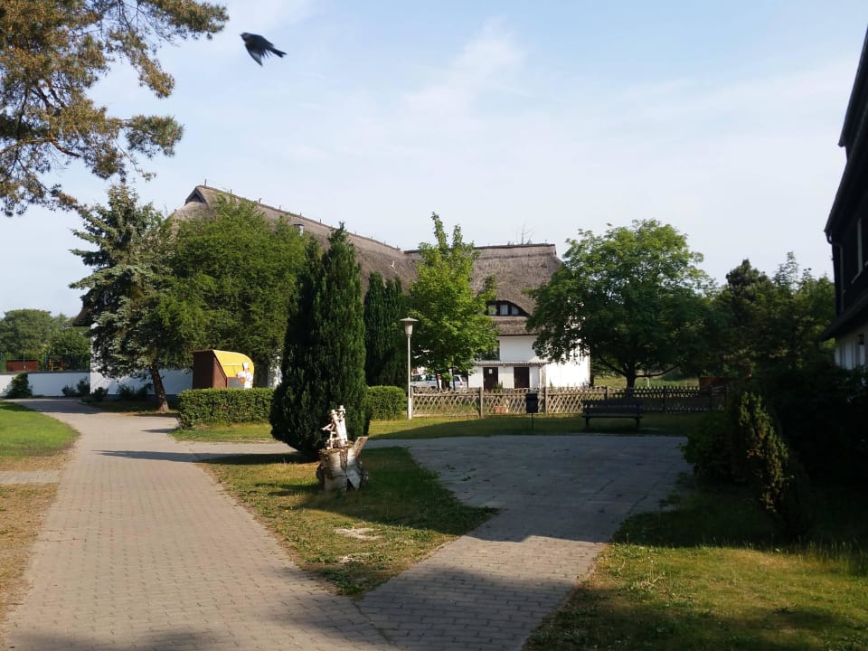 Restaurant TUI SUNEO Kinderresort Usedom