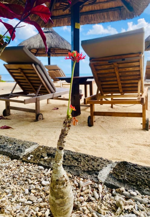 Strand Maritim Resort & Spa Mauritius