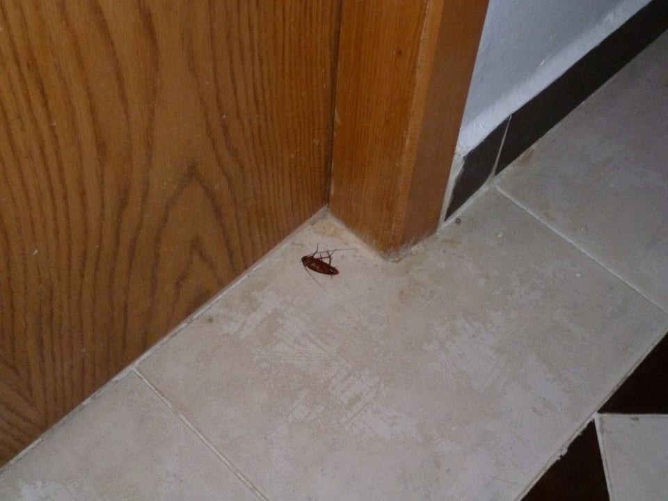 Kakalake Pickalbatros Aqua Park Resort - Hurghada