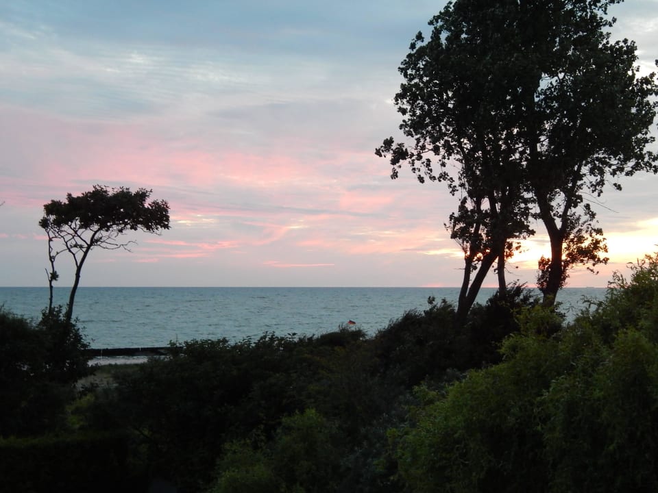 Ostsee mit "Windflüchter" Hotel Zur kleinen Meerjungfrau
