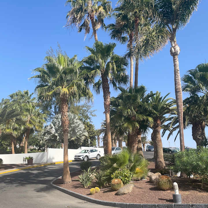 Gartenanlage allsun App.-Hotel Esquinzo Beach