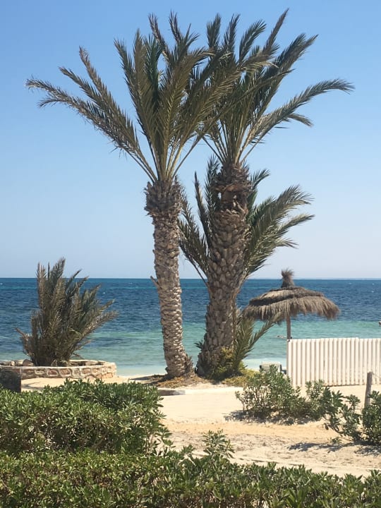 Strand Hotel El Mouradi Djerba Menzel