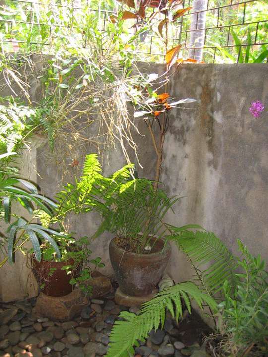 Außenbad Saraswati Holiday House