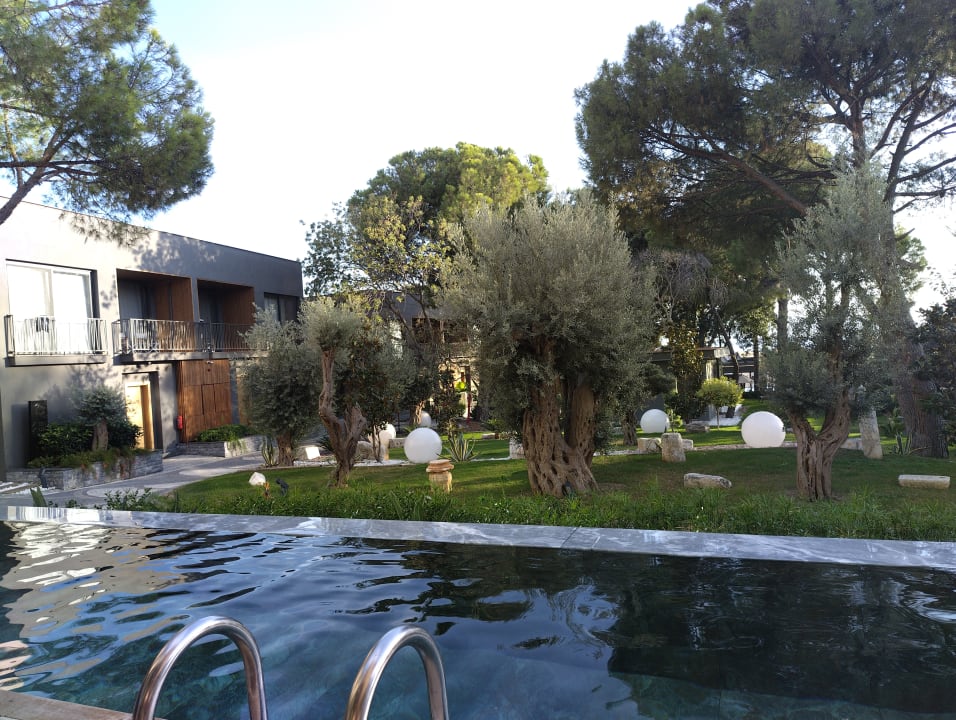 Pool Unique Life Style Hotel