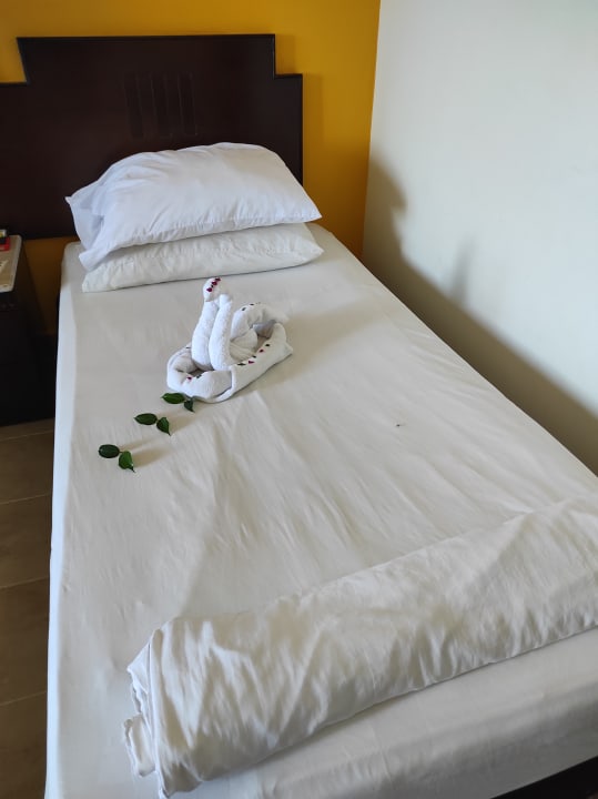 Zimmer Coral Sun Beach