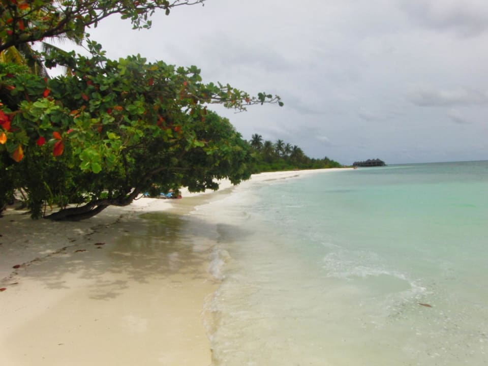 Blick von unserem Bungi Kuredu Island Resort & Spa