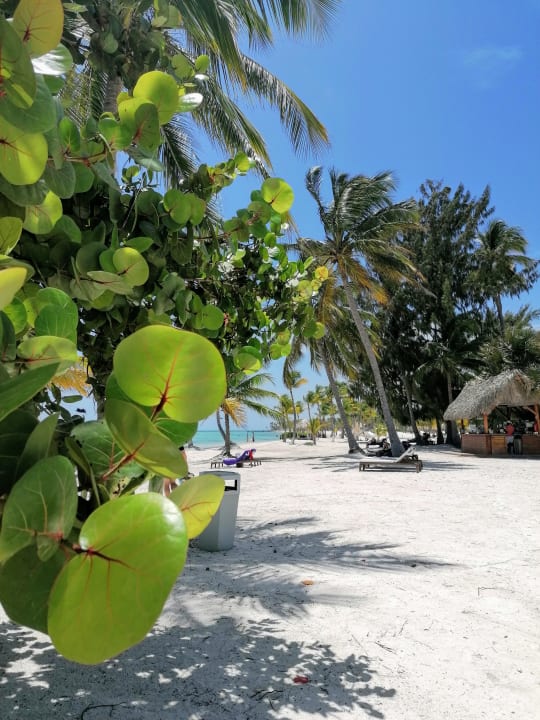 Ausblick Sanctuary Cap Cana - Adults only